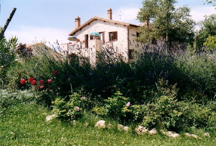 Casale Santomanno Villa Acquasparta Екстериор снимка