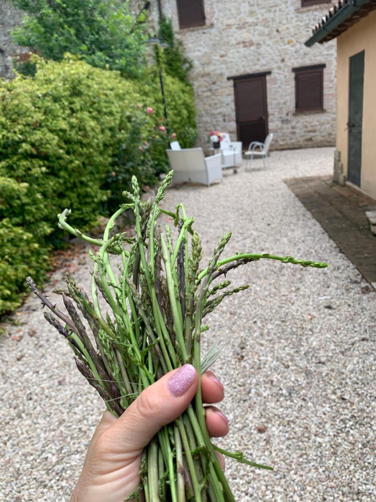 Casale Santomanno Villa Acquasparta Екстериор снимка